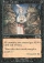 Magic Card Image
