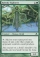 Magic Card Image