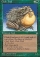 Magic Card Image