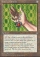 Magic Card Image