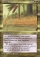 Reclamation Magic Card Image