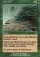 Magic Card Image