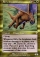 Magic Card Image
