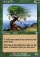 Utopia Tree Magic Card Image