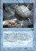 Energy Tap Magic Card Image