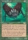 Vexing Beetle Magic Card Image