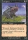 Magic Card Image