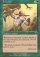 Magic Card Image