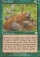Magic Card Image