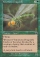 Venomous Dragonfly Magic Card Image