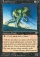 Fetid Horror Magic Card Image
