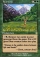 Magic Card Image