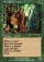 Woodland Druid Magic Card Image