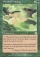 Magic Card Image