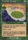 Magic Card Image